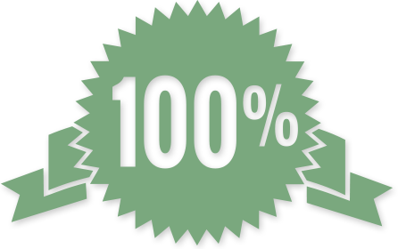 100 percent seal icon